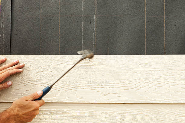 Best Stucco Siding  in Flowery Branch, GA
